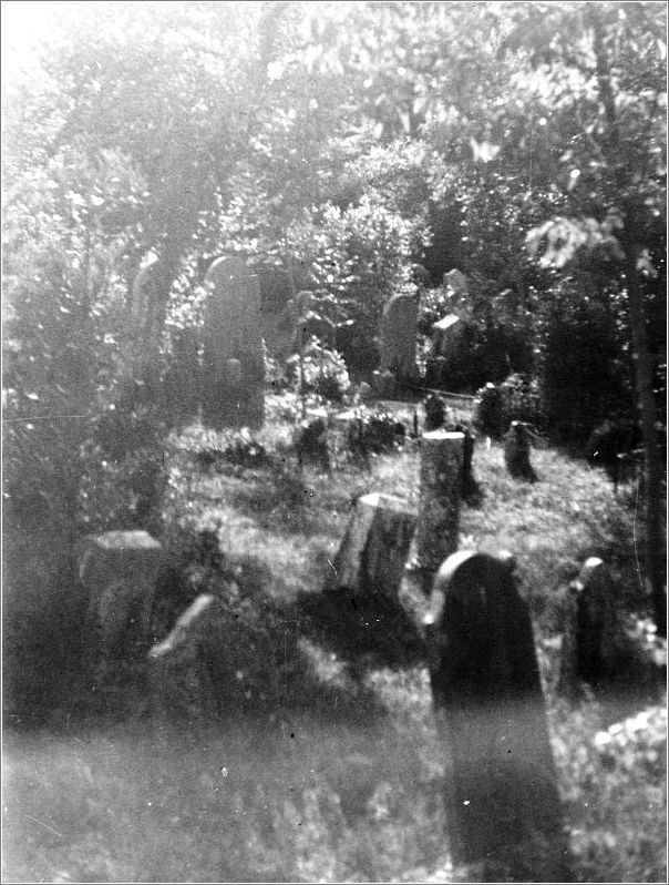 Ancient gravestones in a Jewish cemetery in Vienna